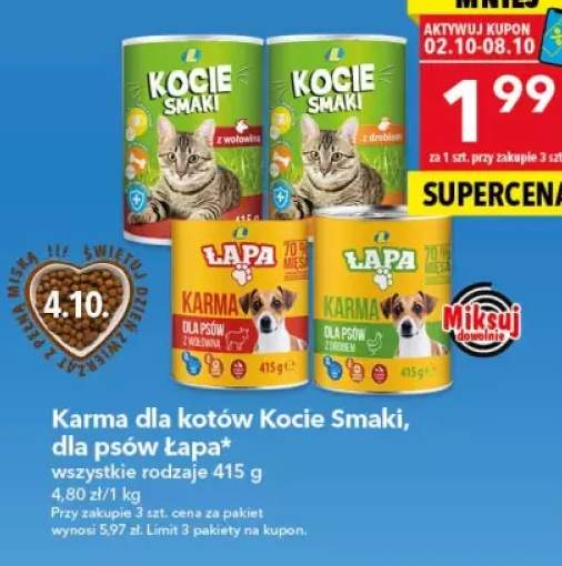 karma dla kota