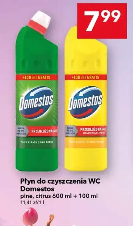 Płyn do czyszczenia WC Domestos