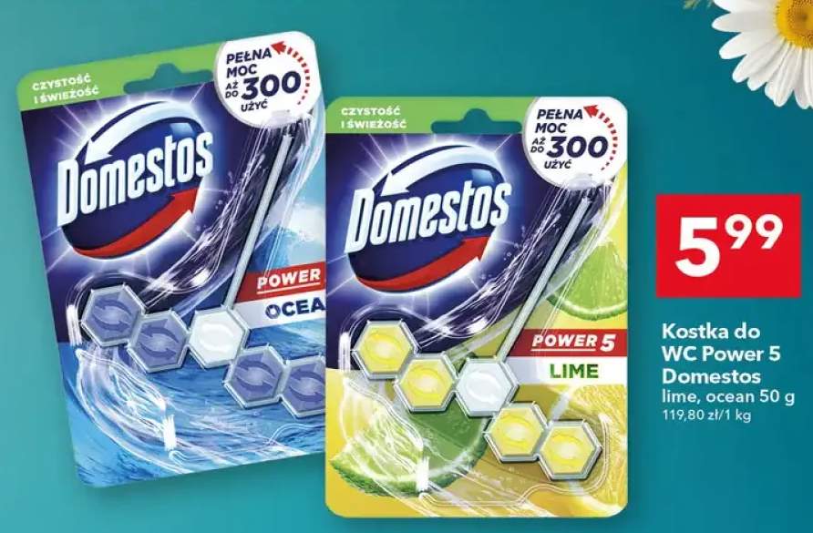 Kostka do WC Power 5 Domestos ocean +1 wariant